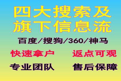 SEM搜索引擎优化成功案例，揭示优化策略与技巧